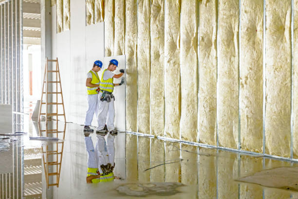 Best Soundproof Insulation  in Inman, KS